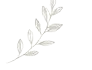 草